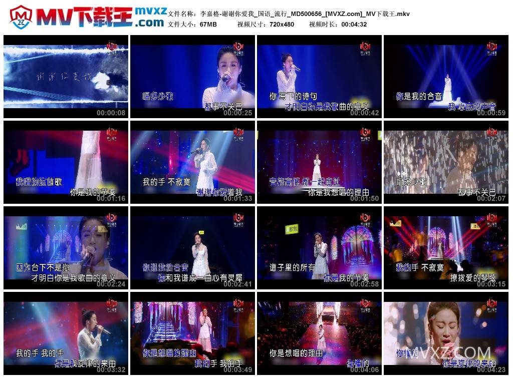 李嘉格-谢谢你爱我_国语_流行_MD500656